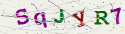 Captcha verification image